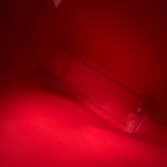 Victoria’s Secret Red Rose Tote Bag - Picture 5 of 11